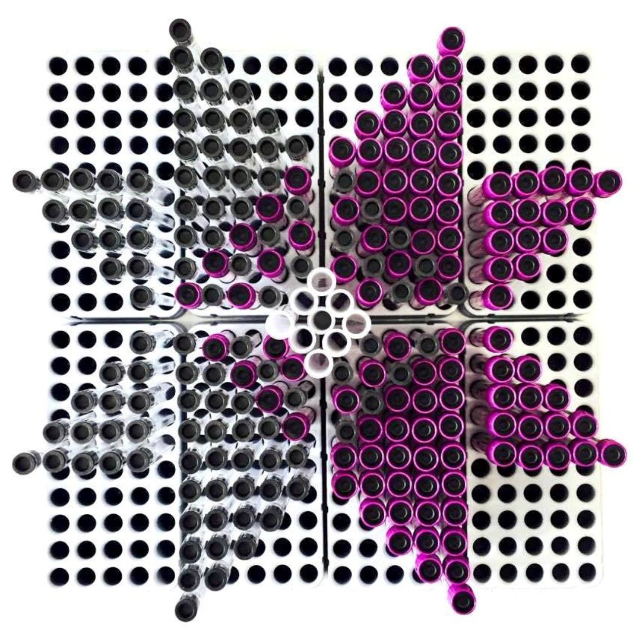 PROMTEST Laboratories